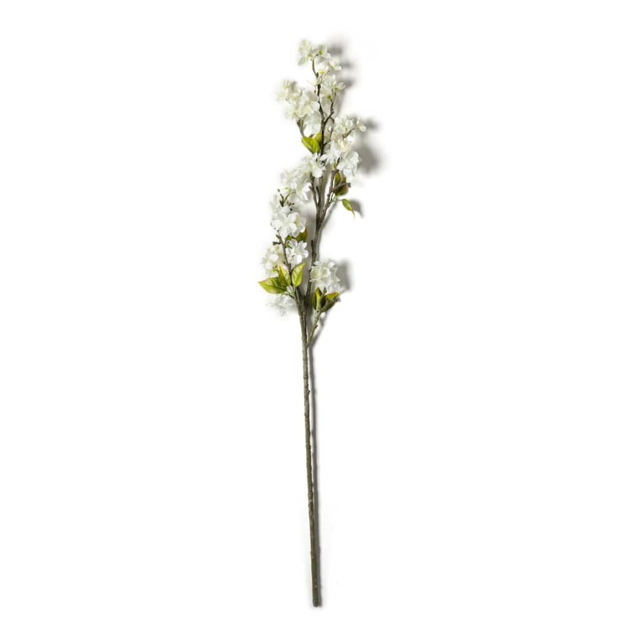 Floral * | Top 10 Cream Blossom Stem By Ashland