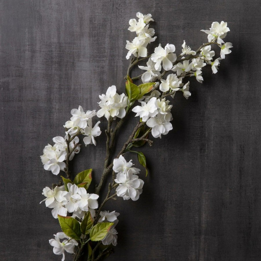 Floral * | Top 10 Cream Blossom Stem By Ashland