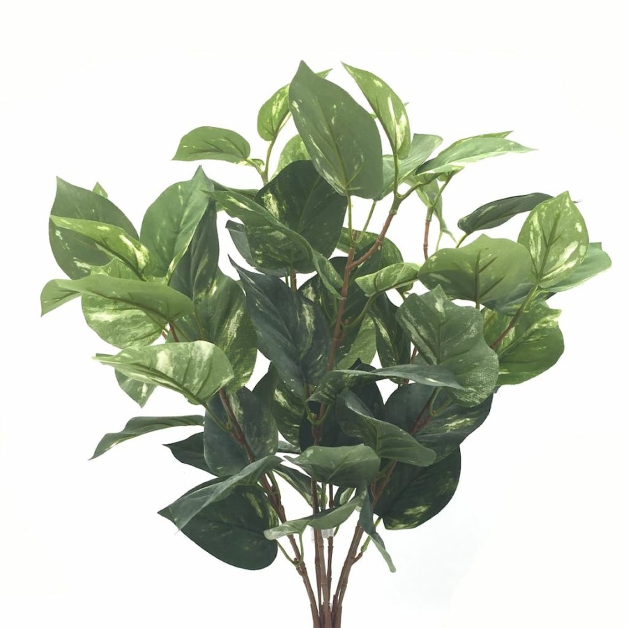 Floral * | Best Pirce Green Pothos Bush By Ashland