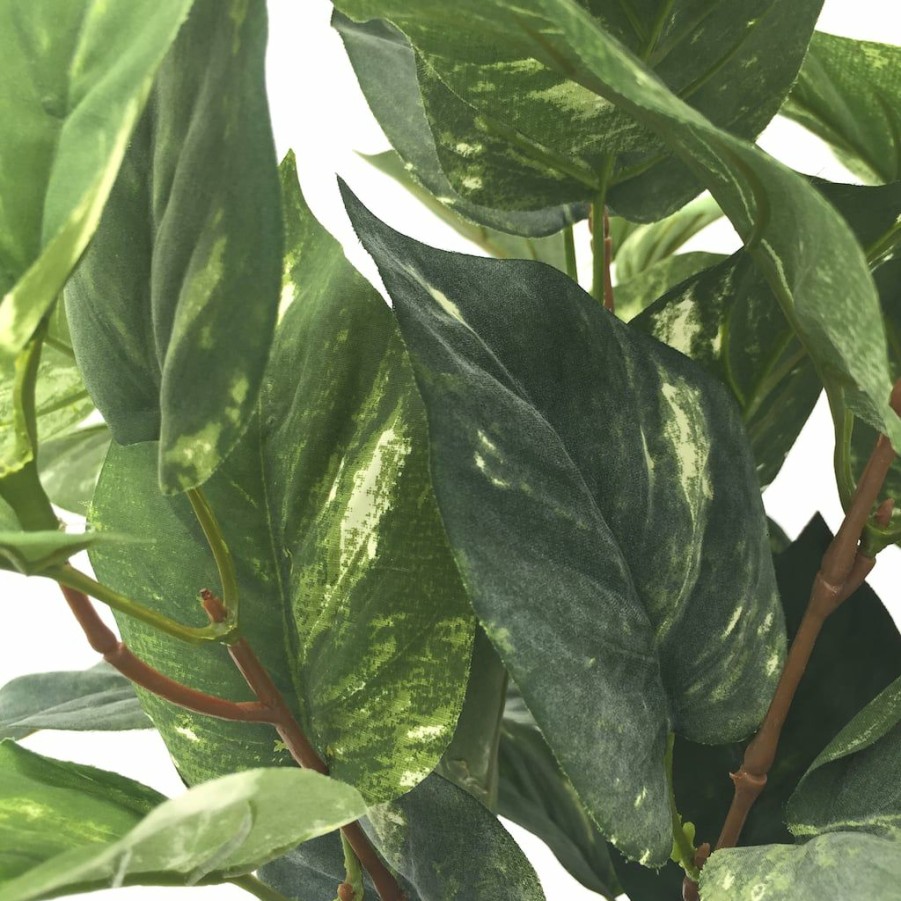 Floral * | Best Pirce Green Pothos Bush By Ashland