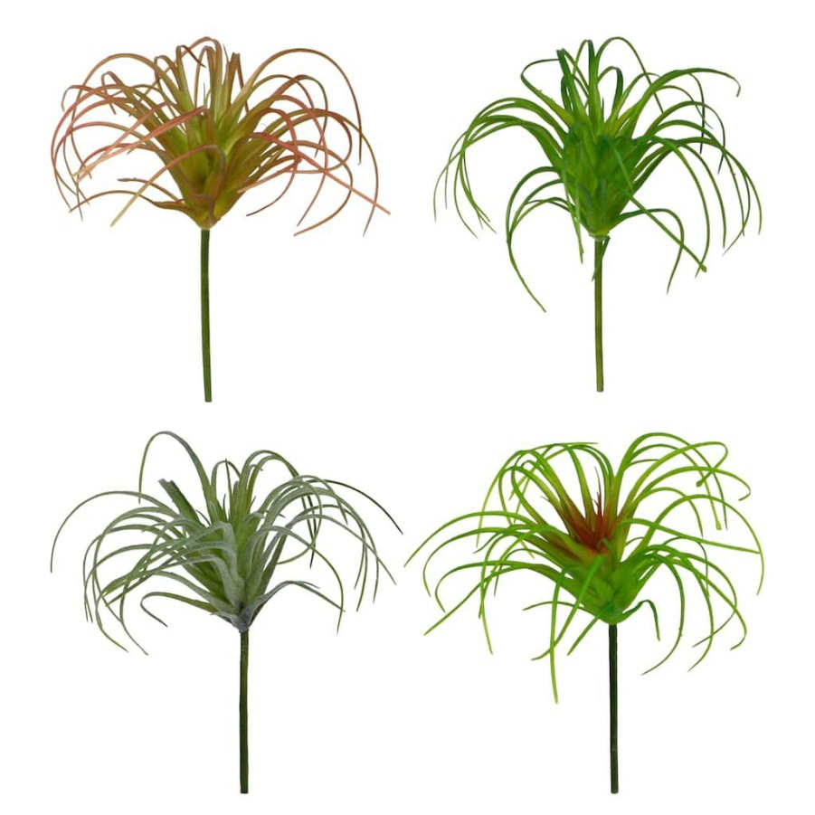 Floral * | Outlet 24 Pack: Assorted Tillandsia Pick By Ashland