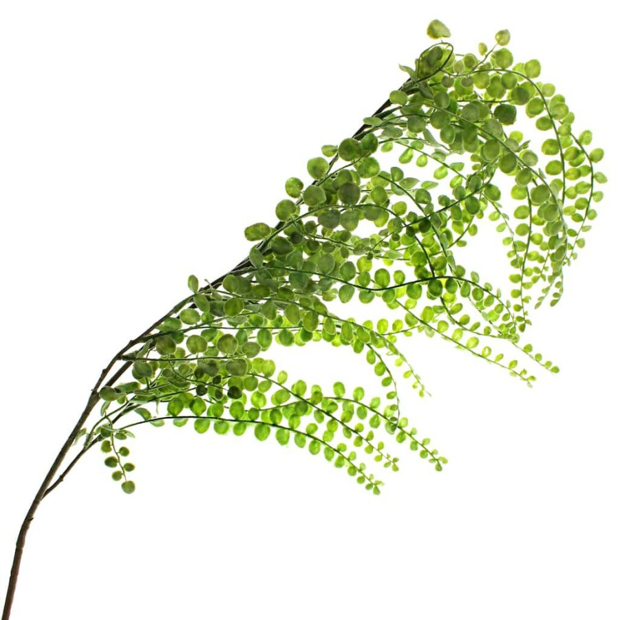 Floral * | Best Pirce 12 Pack: Green Weeping Fern Spray By Ashland