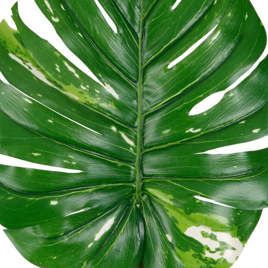 Floral * | Best Pirce 12 Pack: Monstera Leaf Stem By Ashland