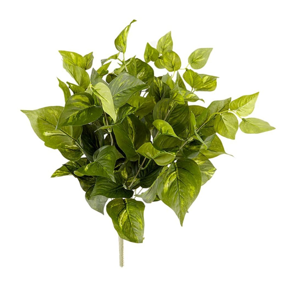 Floral * | Best Reviews Of Pothos Bush Real Touch Collection By Ashland