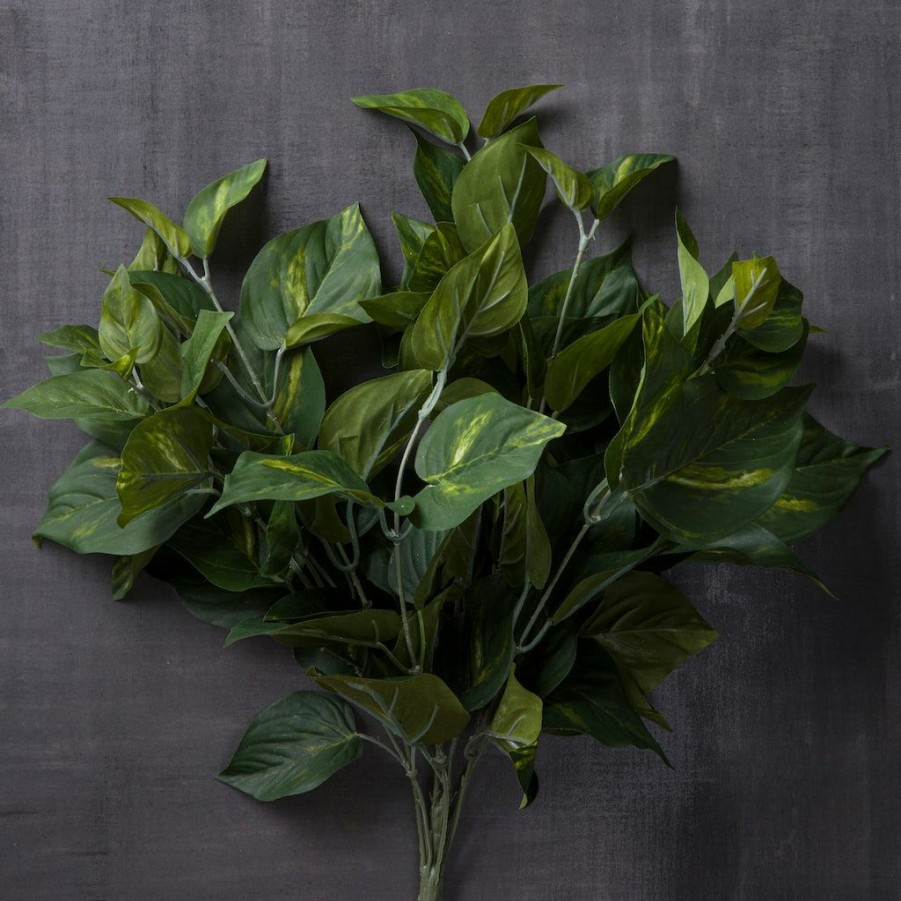 Floral * | Best Reviews Of Pothos Bush Real Touch Collection By Ashland