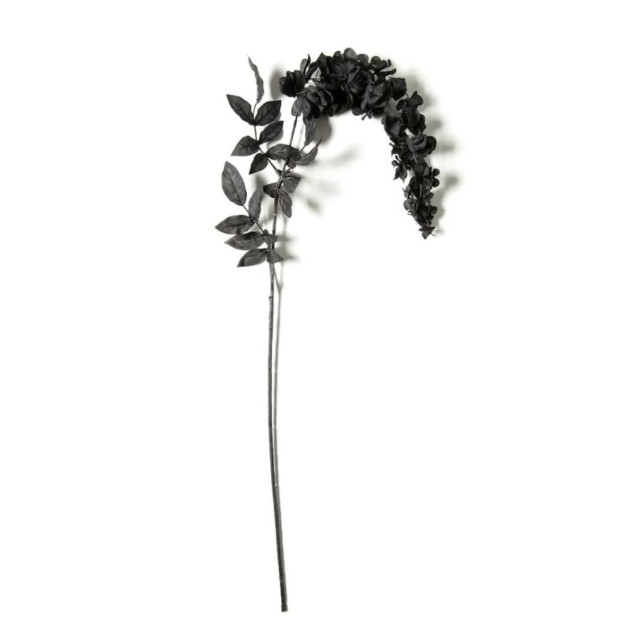 Floral * | Best Deal Black Wisteria Stem By Ashland