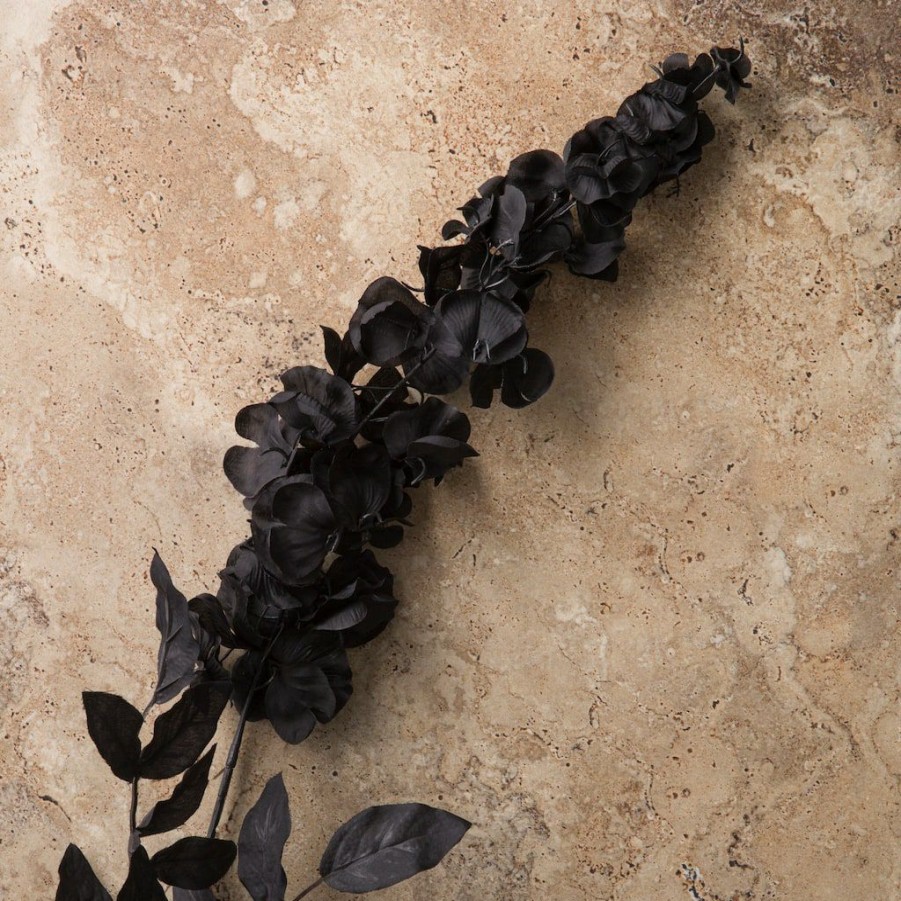 Floral * | Best Deal Black Wisteria Stem By Ashland