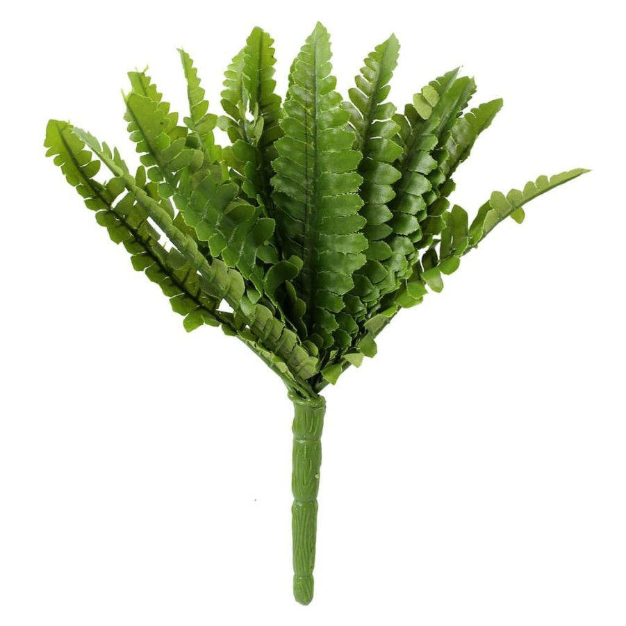 Floral * | Top 10 Ashland Fern Collection Mini Boston Fern Bush