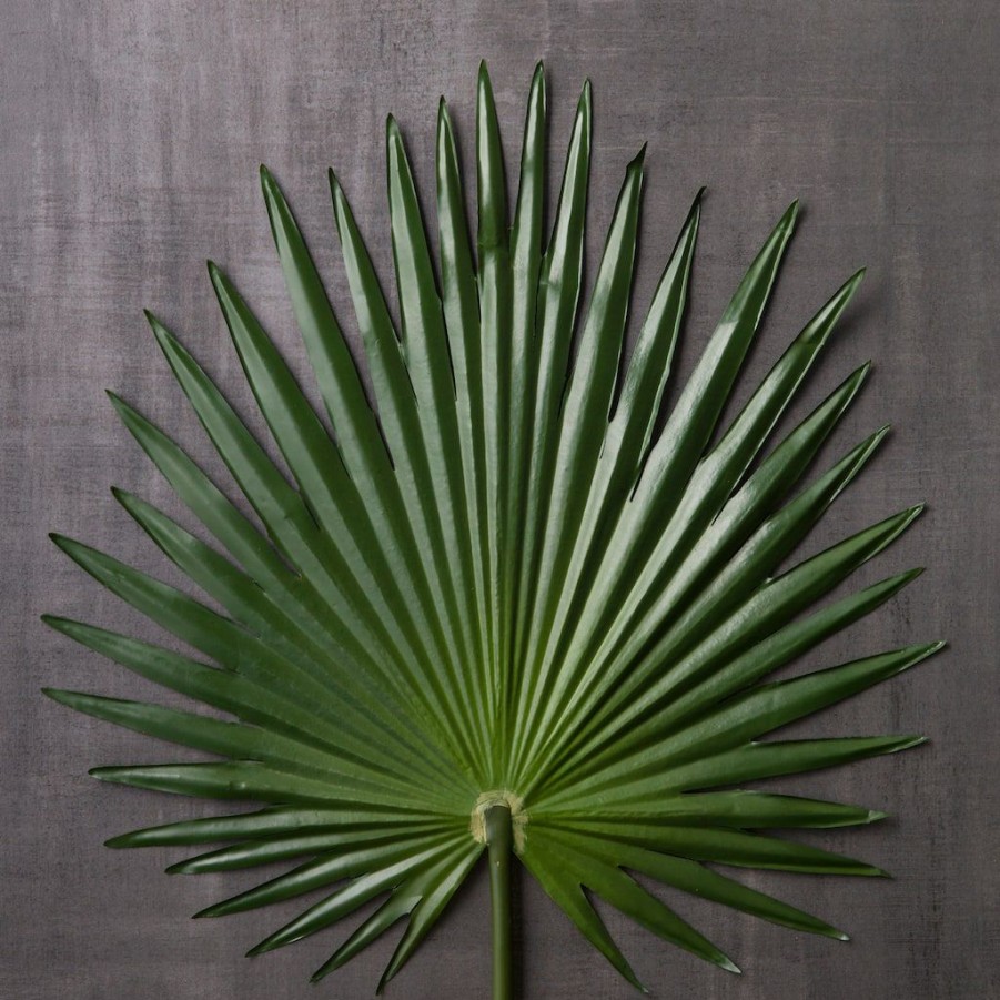 Floral * | Wholesale Tropical Fan Palm Stem By Ashland