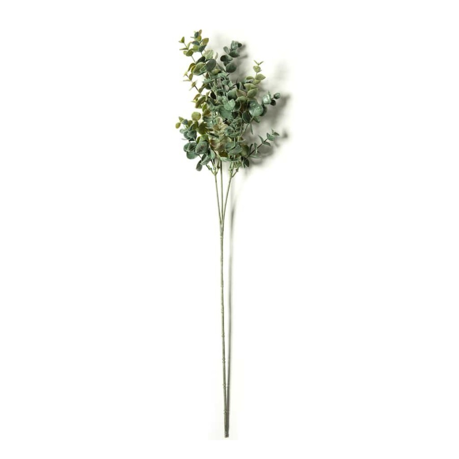 Floral * | Cheap Eucalyptus Stem By Ashland