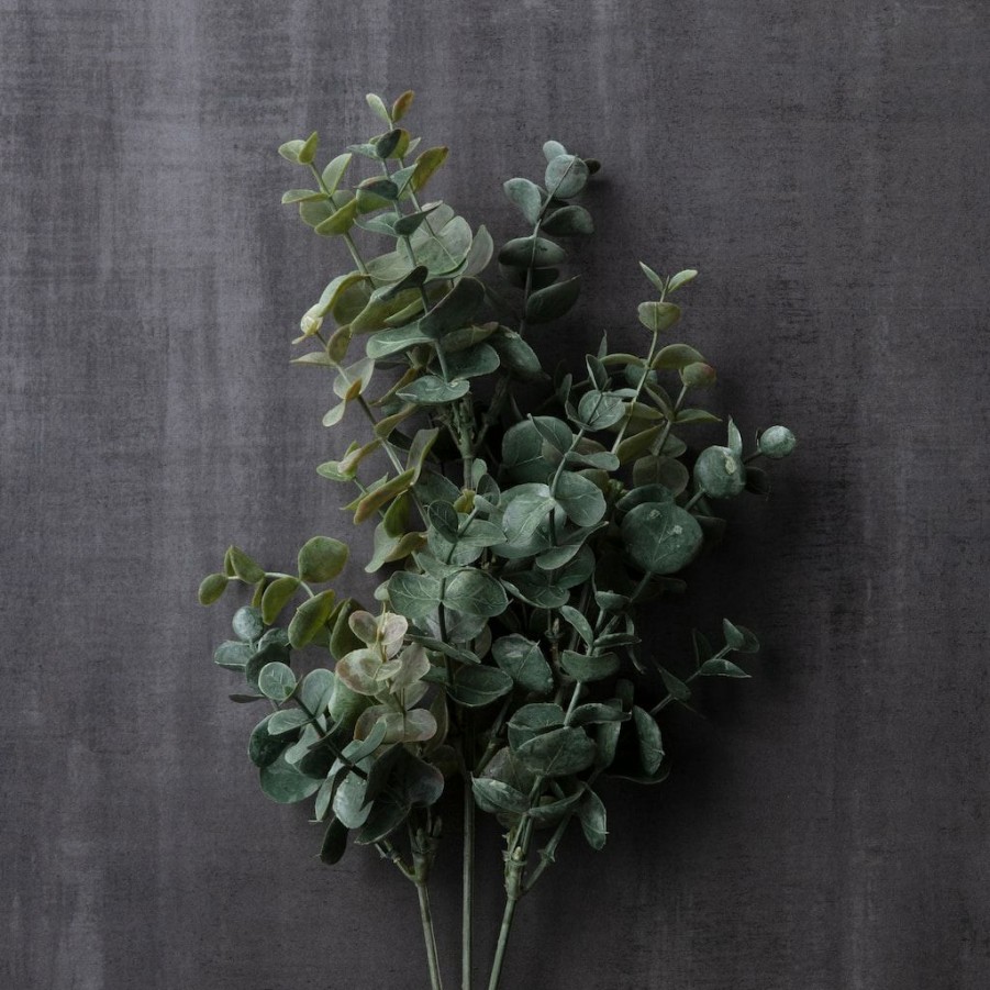 Floral * | Cheap Eucalyptus Stem By Ashland