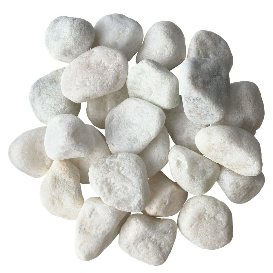 Floral * | Cheapest White Marble Rocks By Ashland