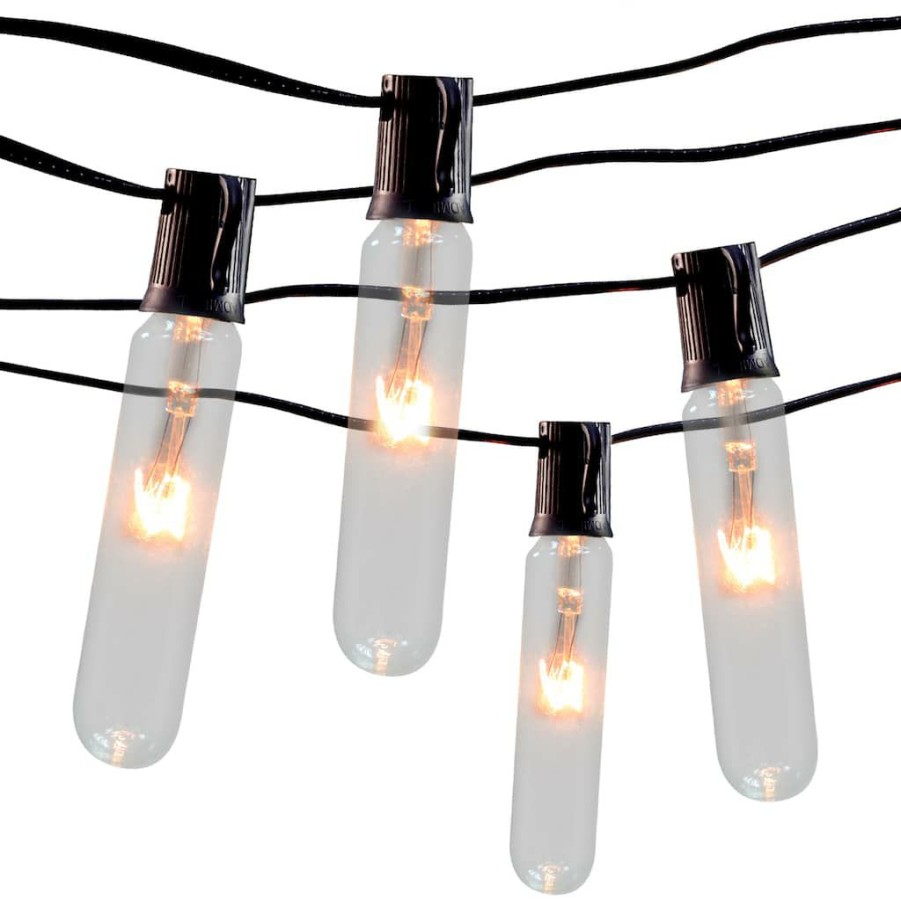 Home & Decor * | Promo 10Ct. Test Tube String Lights By Ashland