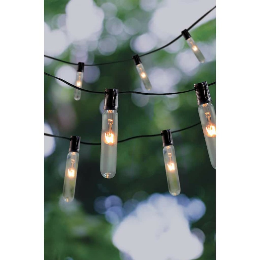 Home & Decor * | Promo 10Ct. Test Tube String Lights By Ashland