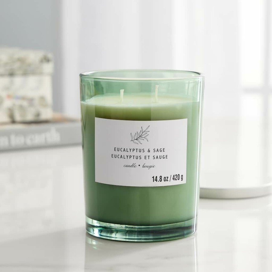 Home & Decor * | Outlet Eucalyptus & Sage 2-Wick Jar Candle By Ashland