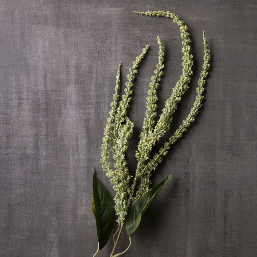 Floral * | New Green Amaranthus Stem By Ashland