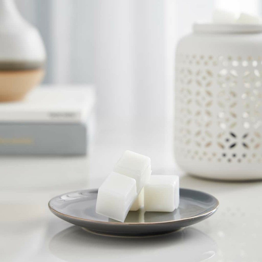 Home & Decor * | Discount Vanilla Bean & Tonka Wax Melts By Ashland