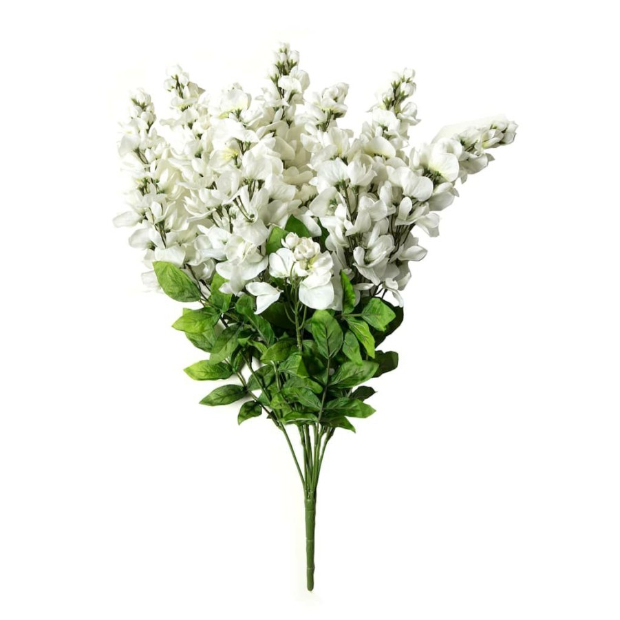 Floral * | Promo White Wisteria Bush By Ashland