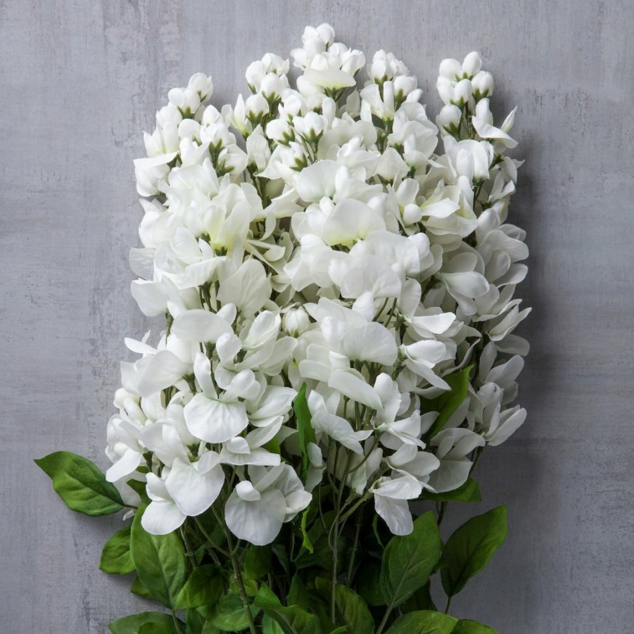 Floral * | Promo White Wisteria Bush By Ashland