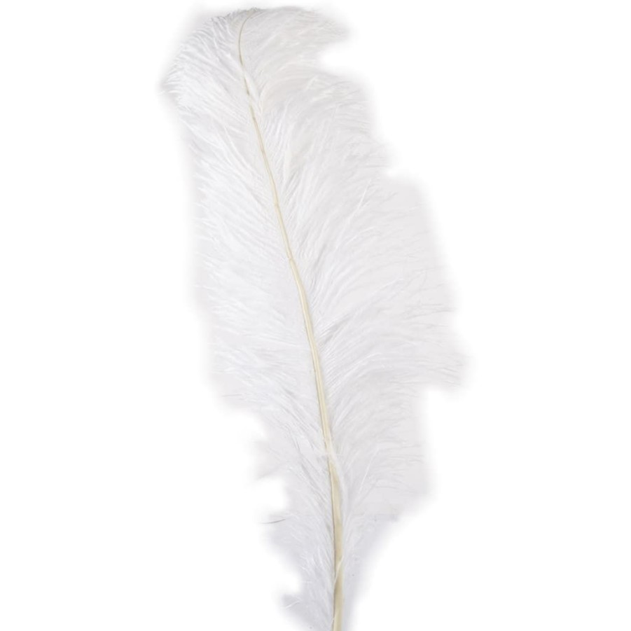 Floral * | Budget 12 Pack: Ivory Ostrich Feather By Ashland