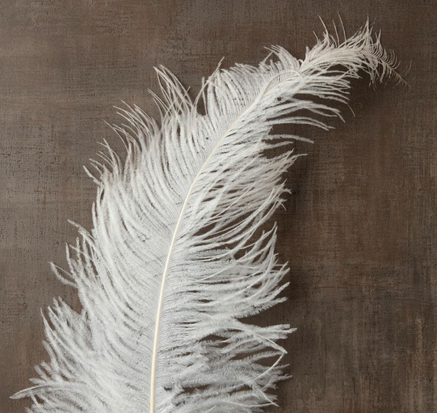 Floral * | Budget 12 Pack: Ivory Ostrich Feather By Ashland