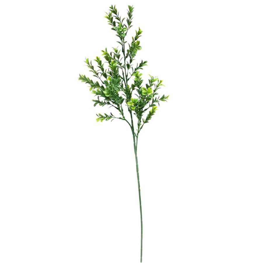 Floral * | Best Sale 12 Pack: Sweet Grass Stem By Ashland