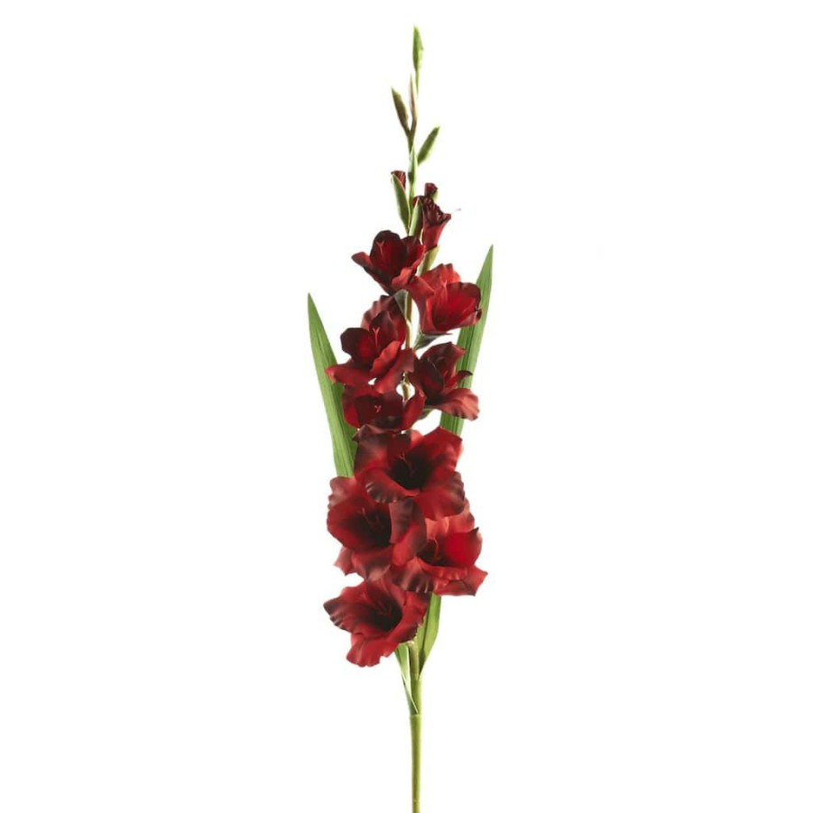 Floral * | Promo 12 Pack: Dark Red Gladiolus Stem By Ashland