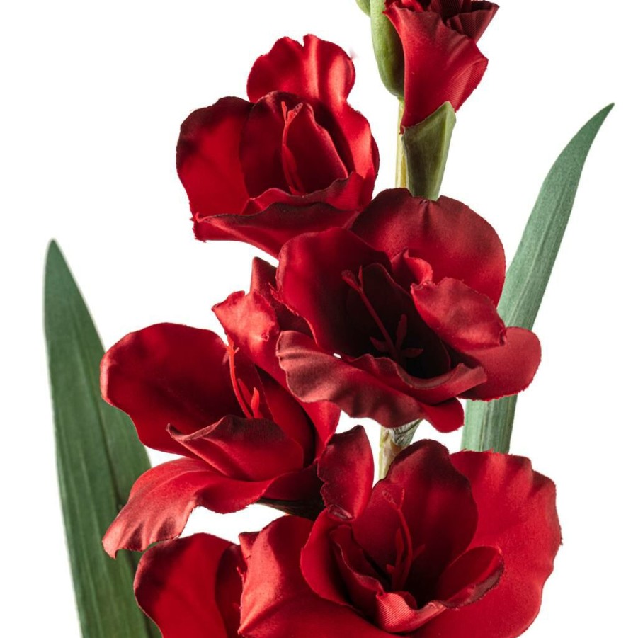 Floral * | Promo 12 Pack: Dark Red Gladiolus Stem By Ashland