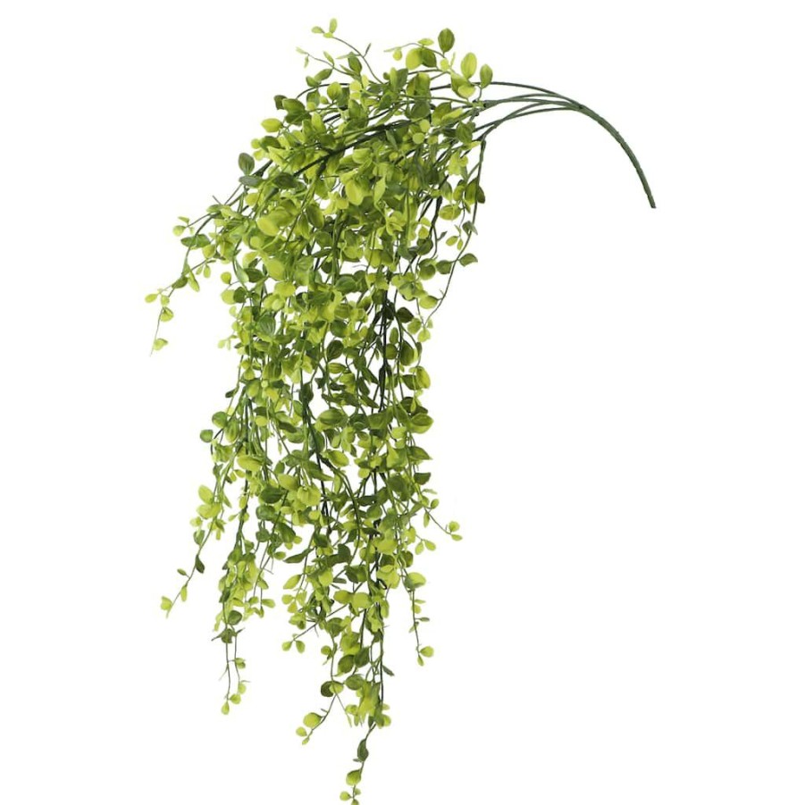 Floral * | Best Pirce Green Hanging Smilax Bush By Ashland