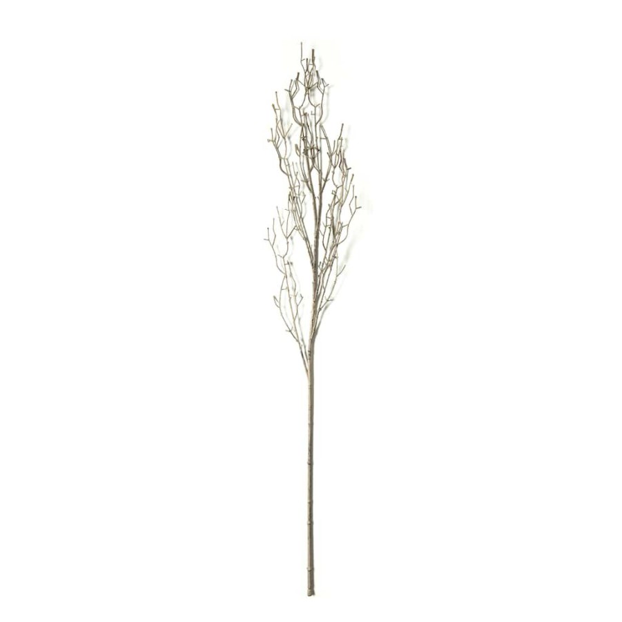 Floral * | Outlet Brown Twig Stem By Ashland