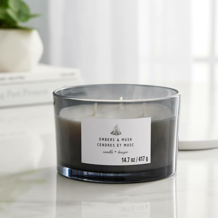 Home & Decor * | Best Sale Embers & Musk 3-Wick Jar Candle By Ashland