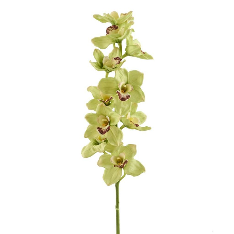 Floral * | Cheapest 8 Pack: Pale Green Boat Orchid Stem By Ashland