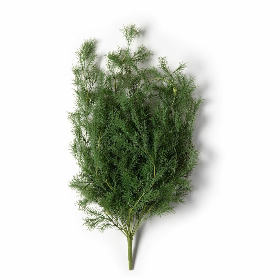 Floral * | Best Deal Springeri Bush Fern Collection By Ashland