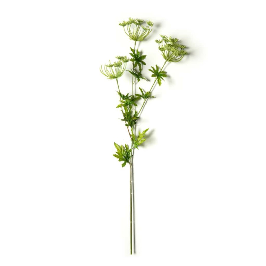 Floral * | Best Deal Queen Anne'S Lace Spray By Ashland Light Green