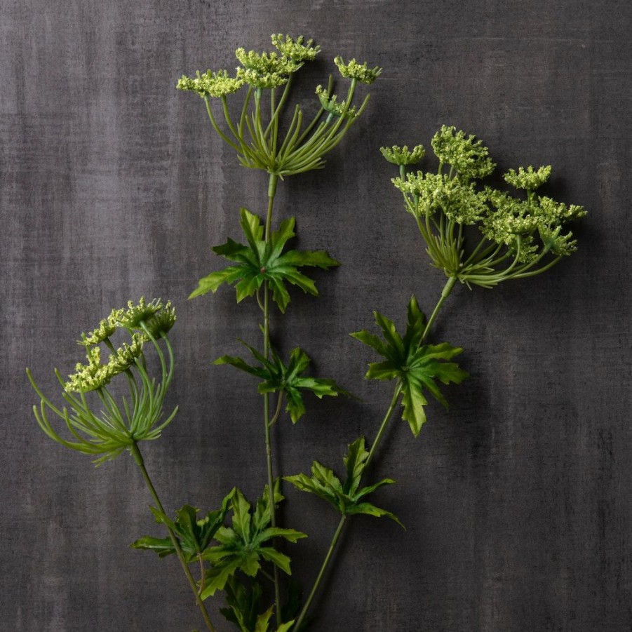 Floral * | Best Deal Queen Anne'S Lace Spray By Ashland Light Green