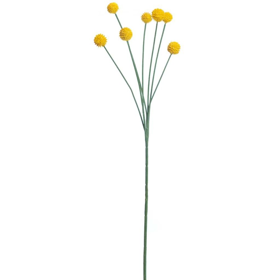 Floral * | Outlet Yellow Billy Ball Stem By Ashland