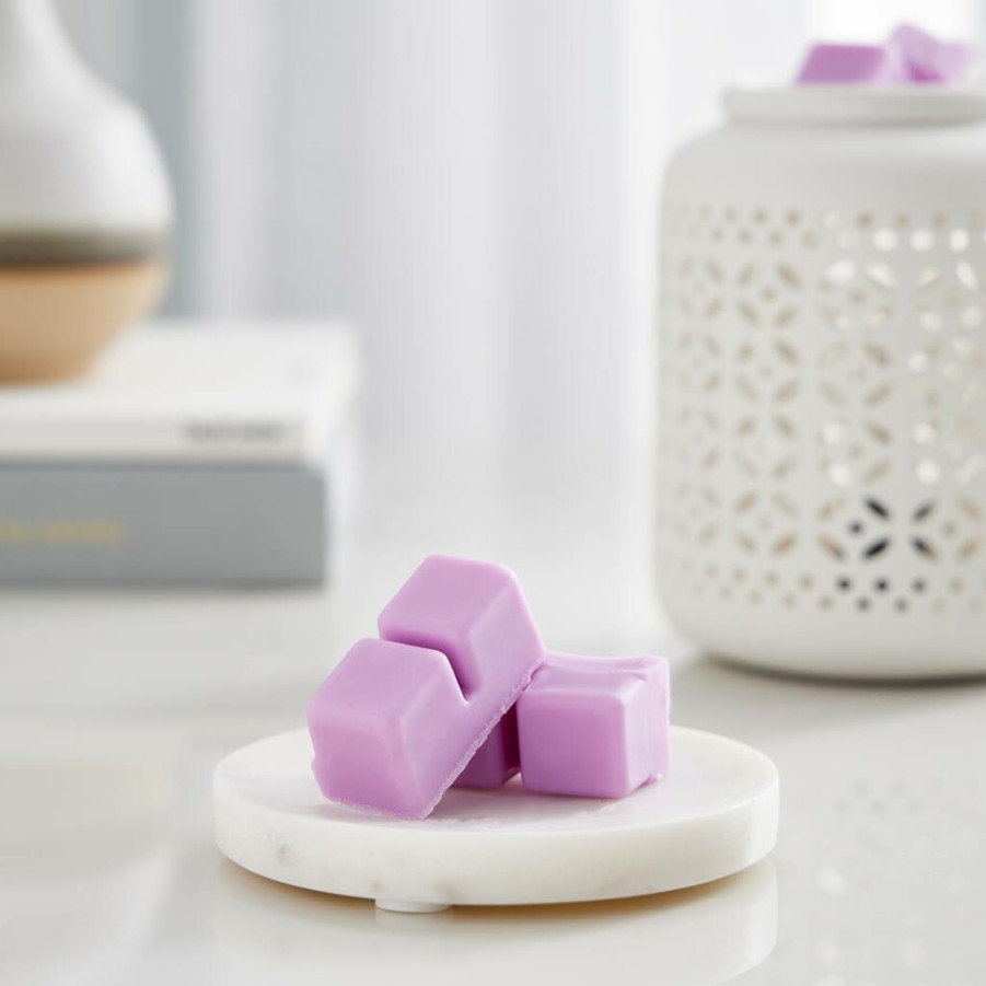 Home & Decor * | Buy Lavender & Violet Scented Wax Melt By Ashland