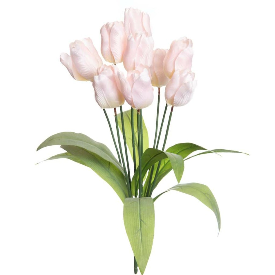 Floral * | Top 10 Pink Tulip Bush By Ashland