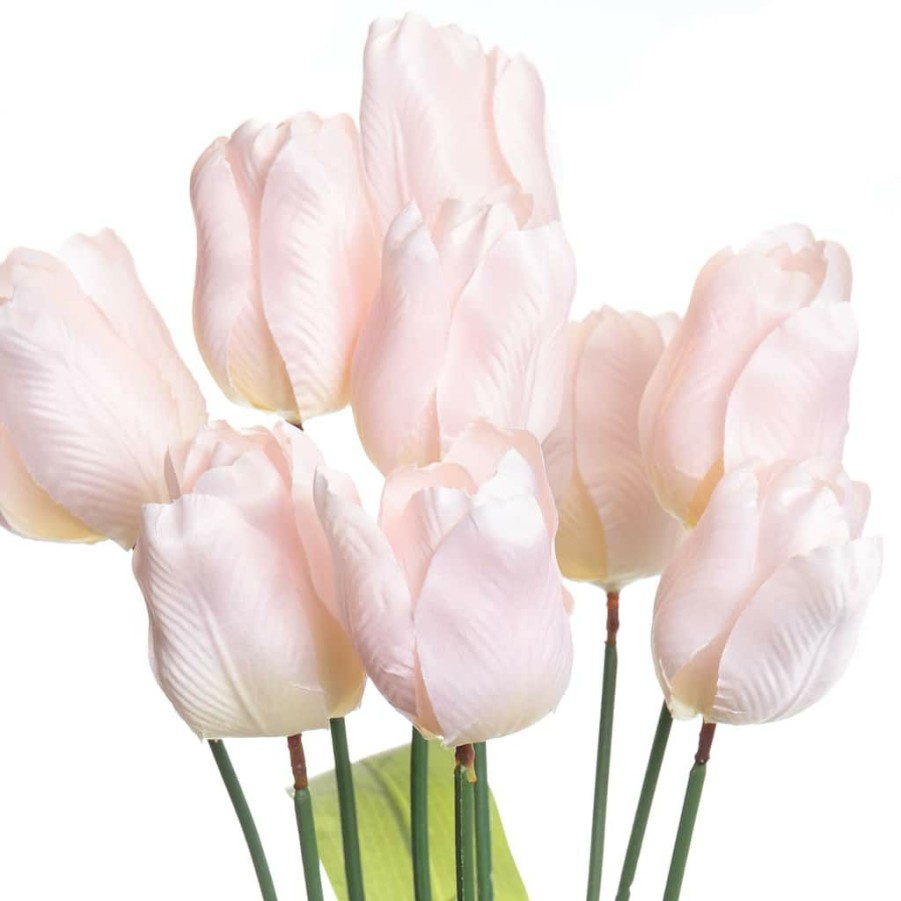 Floral * | Top 10 Pink Tulip Bush By Ashland