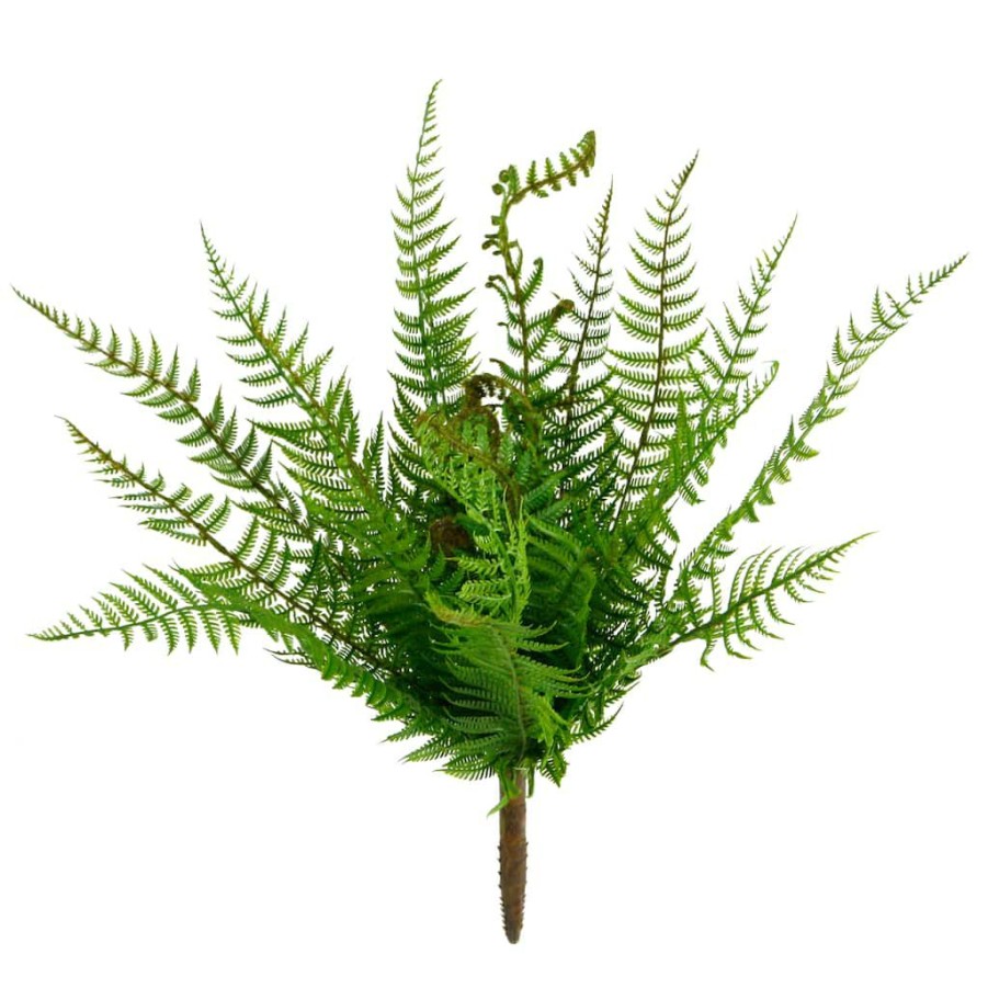 Floral * | Cheapest 8 Pack: Green Boston Fern Bush By Ashland