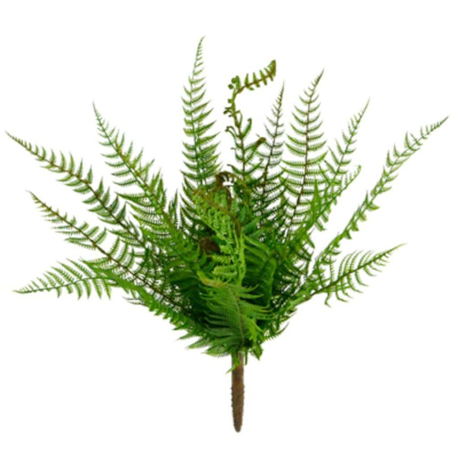 Floral * | Cheapest 8 Pack: Green Boston Fern Bush By Ashland