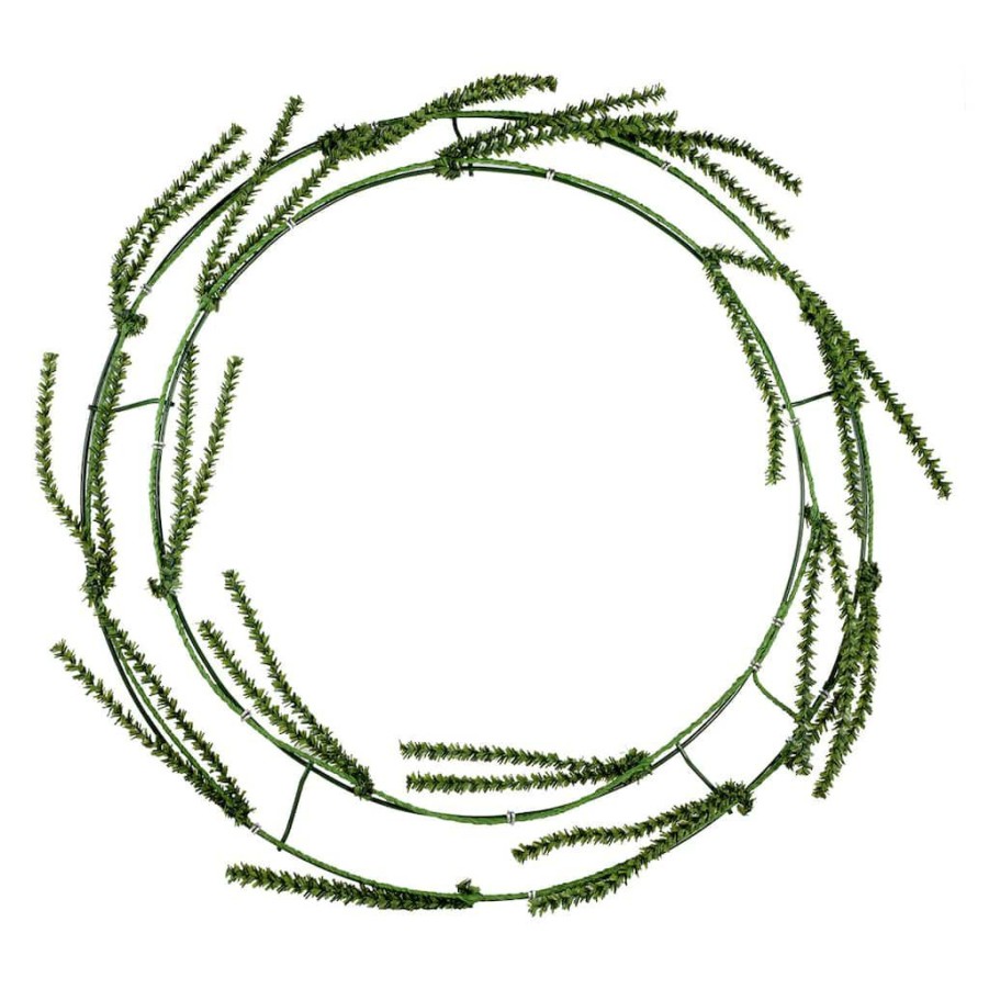 Floral * | New 16 Wire Wreath Frame With Pine Ties By Ashland