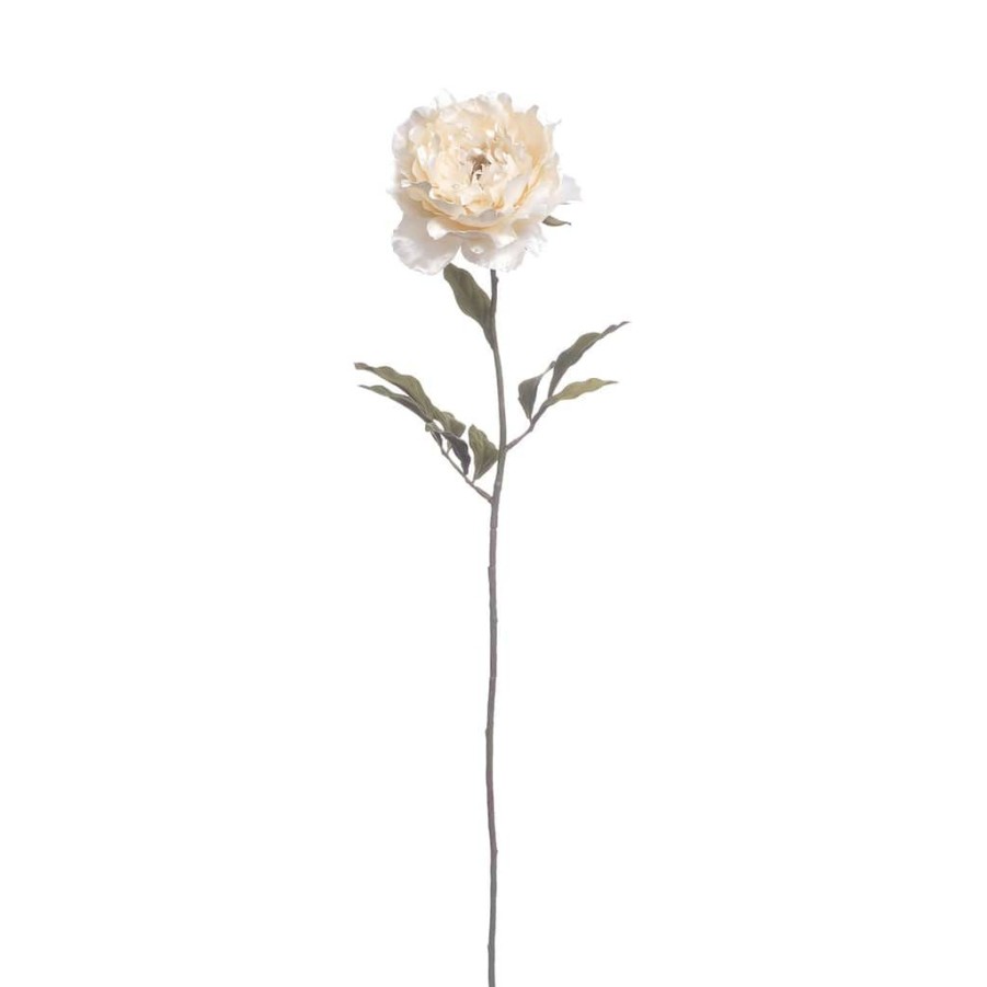 Floral * | Top 10 Cream Peony Stem With Pearl By Ashland