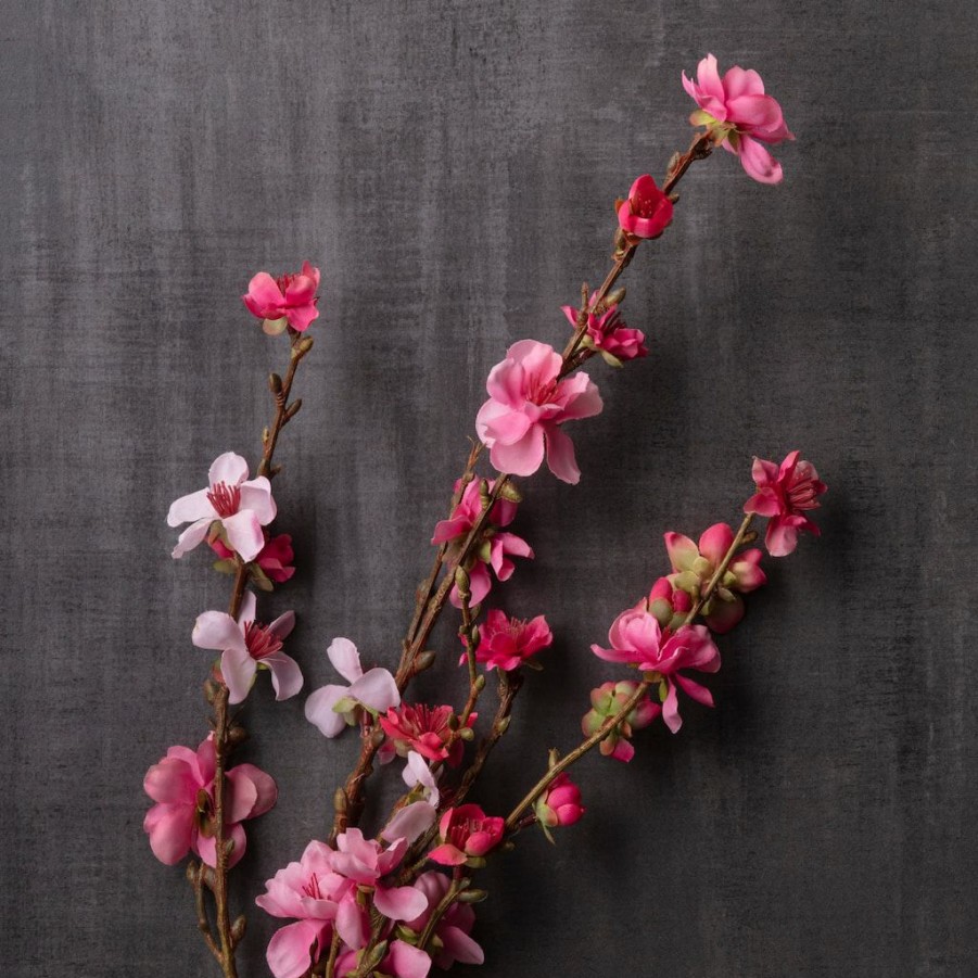 Floral * | Brand New Peach Blossom Stem By Ashland