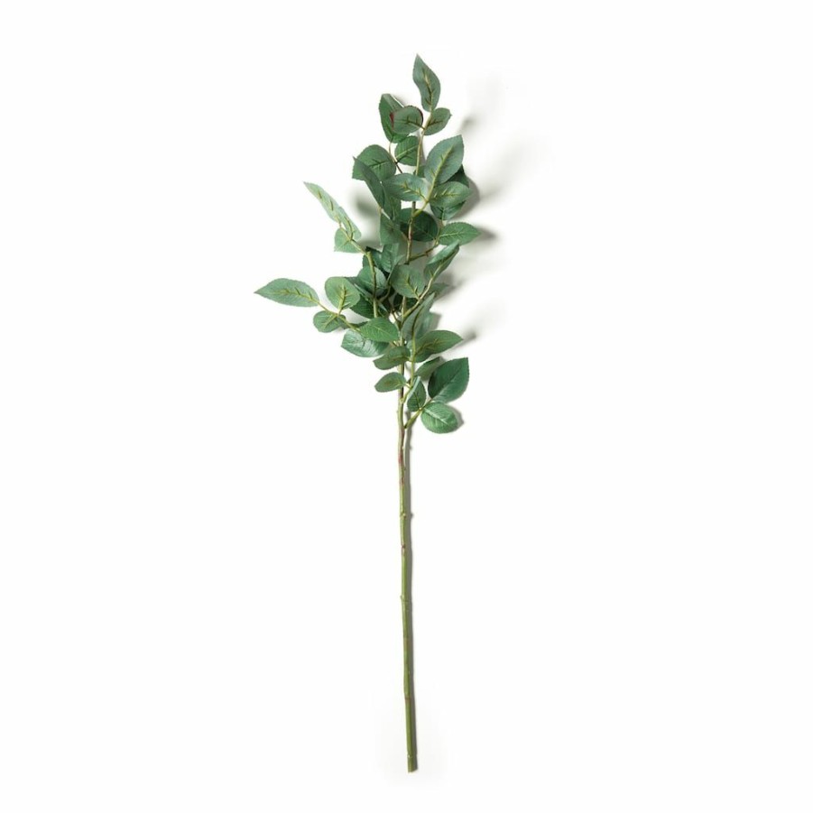 Floral * | Wholesale Rose Leaf Stem By Ashland