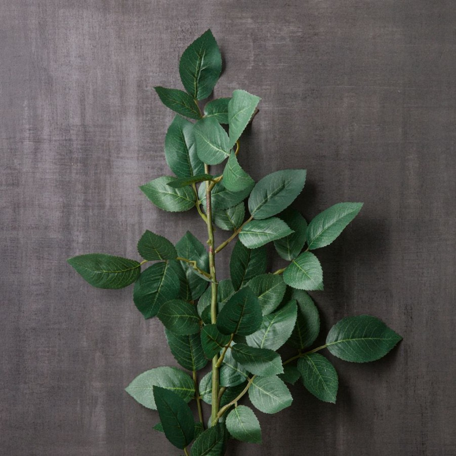 Floral * | Wholesale Rose Leaf Stem By Ashland