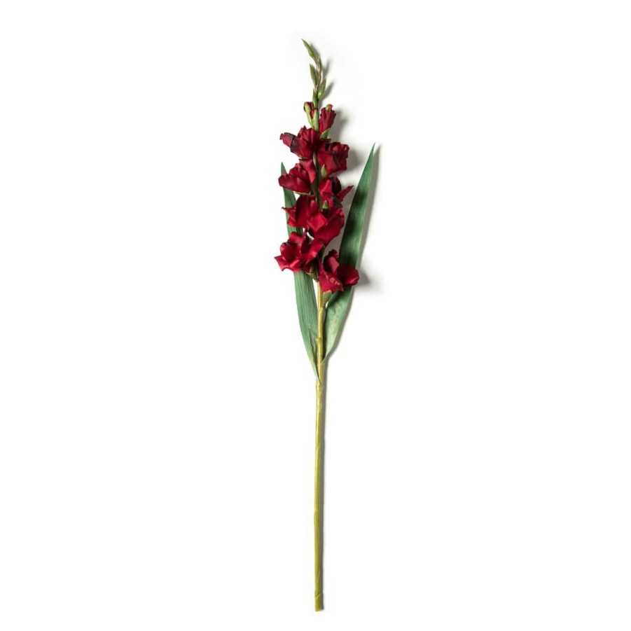 Floral * | Cheapest Gladiolus Stem By Ashland