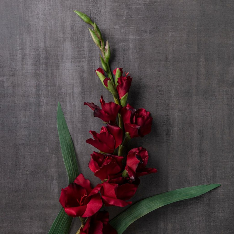 Floral * | Cheapest Gladiolus Stem By Ashland