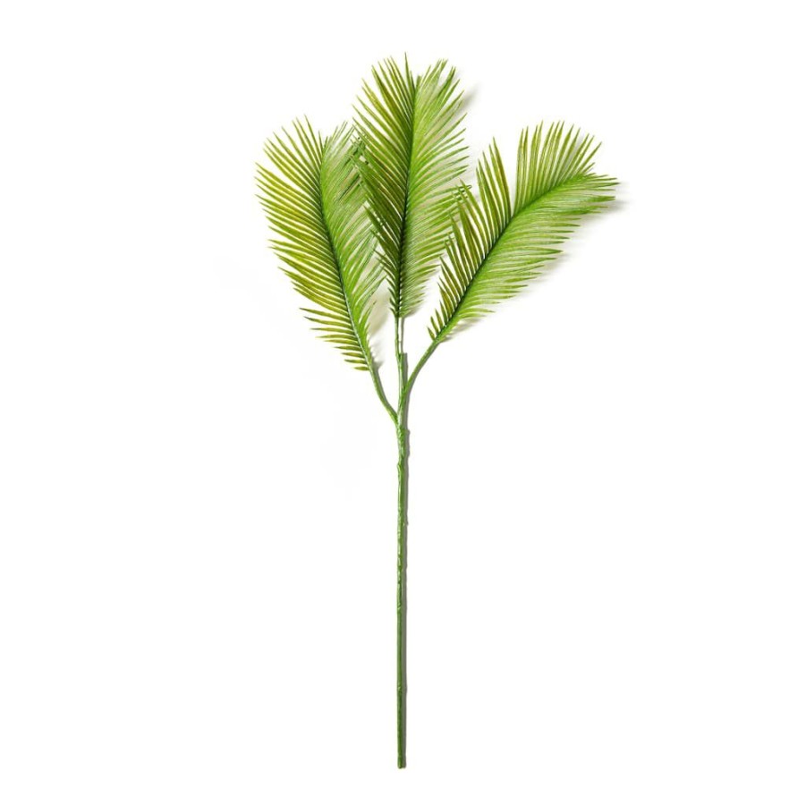 Floral * | New Green Sago Palm Stem By Ashland