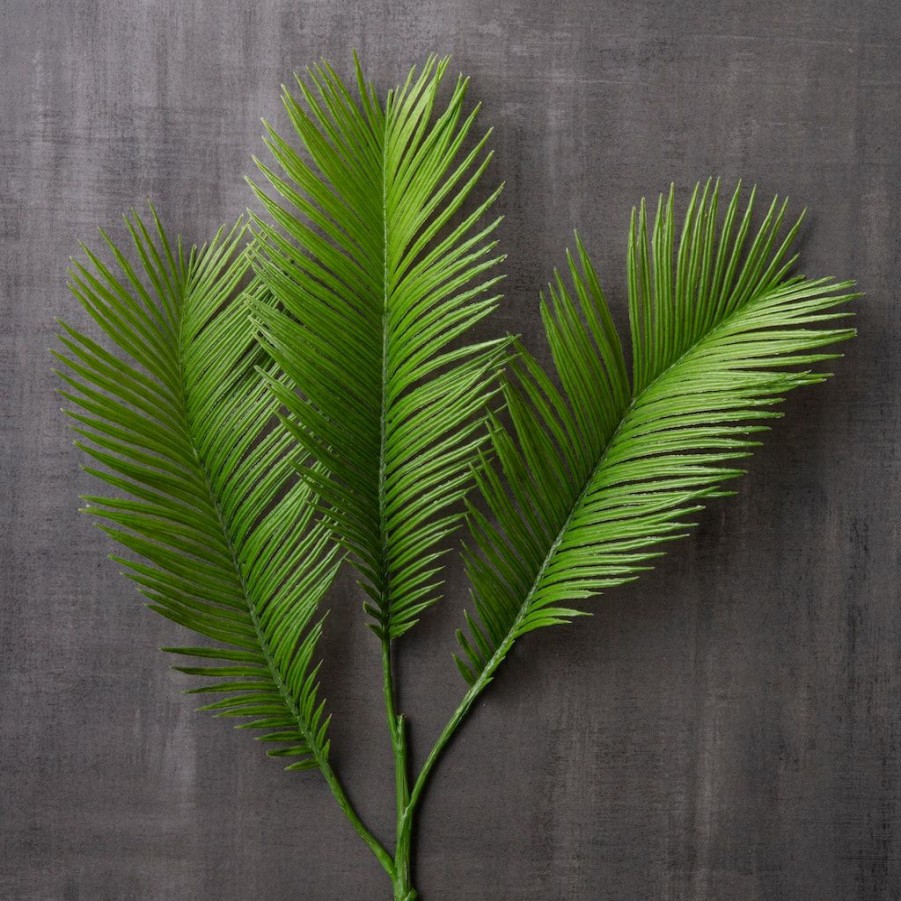 Floral * | New Green Sago Palm Stem By Ashland